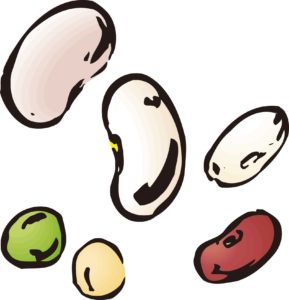 タンパク質、豆